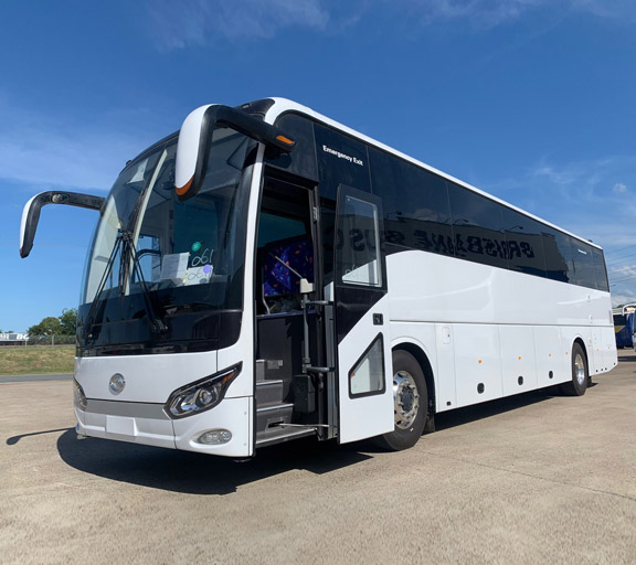 Regular Bus Large